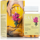 GAL Bio-Curcumin+